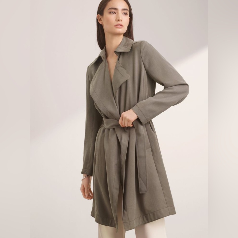 Aritzia Babaton Taupe Trench Coat